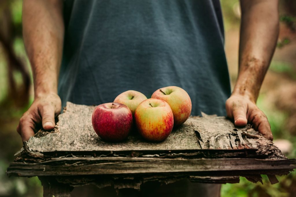 How do farmers grow apple trees